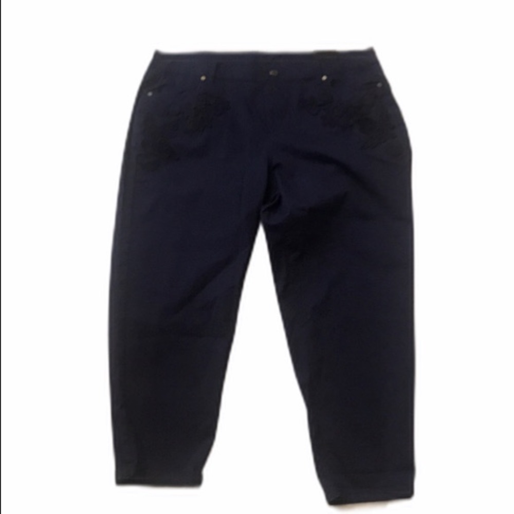 🆕 Lane Bryant Ankle Blue Pants 16